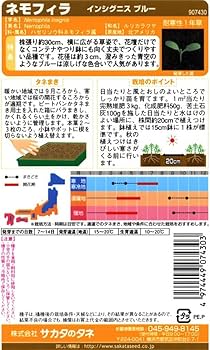 ねもふぃらページ Amazon | ネモフィラ 苗 Zシリーズ ピンク シルバーリーフ 3.5号
